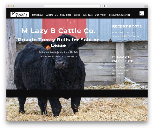 NullPoint WordPress theme - mlazyb.com NullPoint WordPress theme - mlazyb.com
