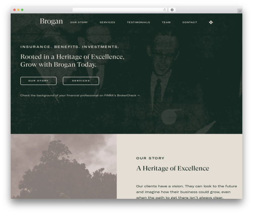 Theme WordPress Brogan - growwithbrogan.com