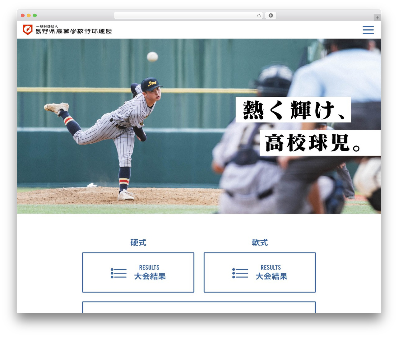 WordPress theme オリジナルテーマ - nagano-hbf.jp