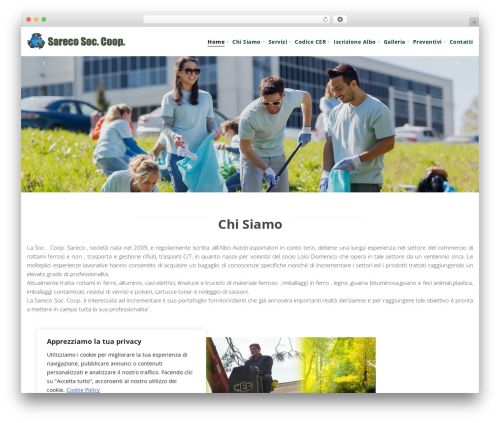 WordPress theme Blink - sarecoscarl.com