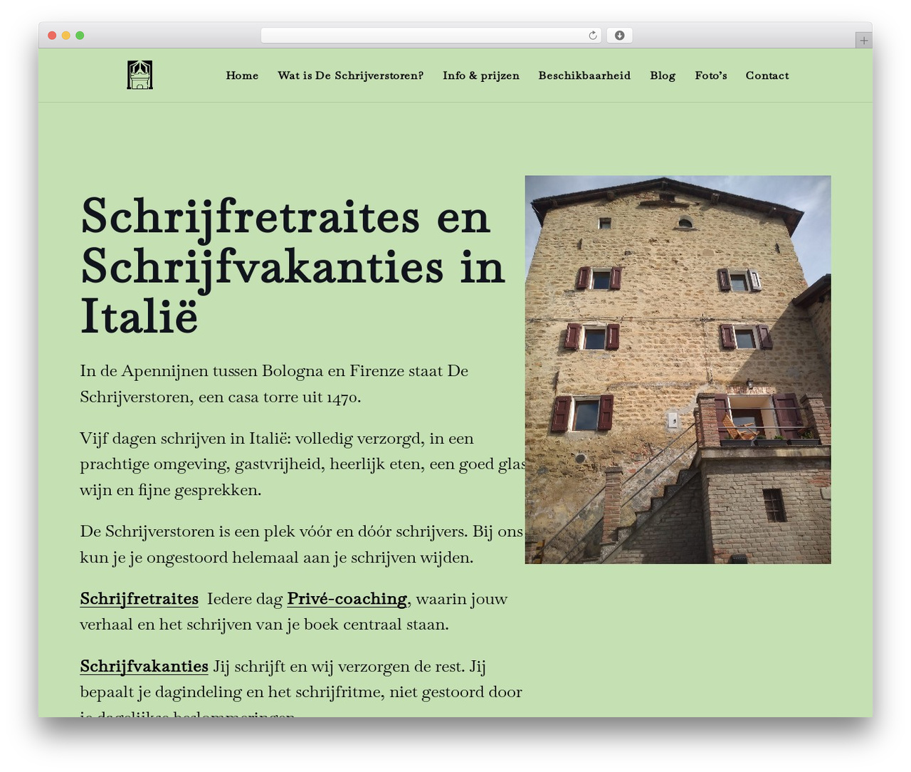 Divi WordPress ecommerce theme - deschrijverstoren.nl Divi WordPress ecommerce theme - deschrijverstoren.nl