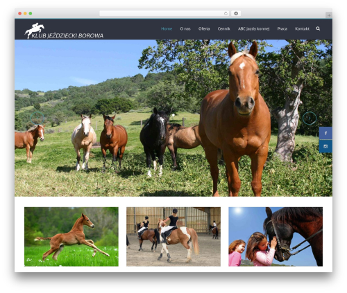 Musli Social Links (musli-social-links) free WordPress plugin - kjborowa.com