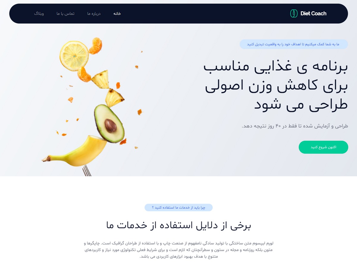 قالب فارسی مربی غذایی theme WordPress by Navid rostamnezhad