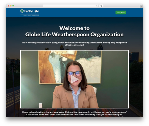 Out of the box WordPress plugin - wocareers.com