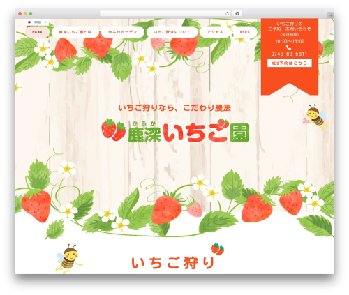 Vk blocks pro WordPress plugin - kafuka-garden.com