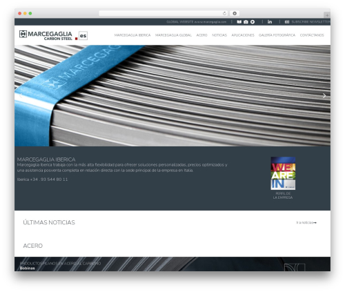 Mailupforgravityforms WordPress plugin - marcegaglia.es