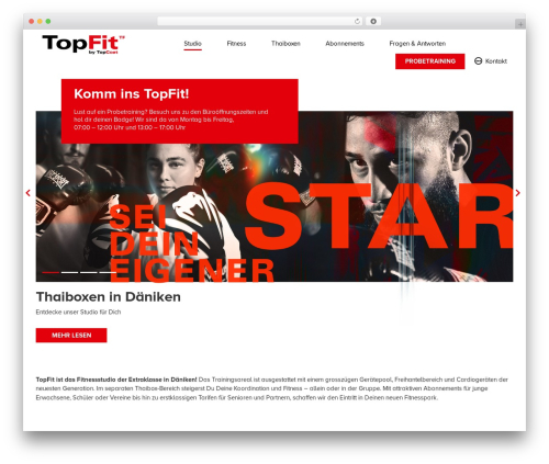 wp_custom_theme theme WordPress - topfit-studio.ch