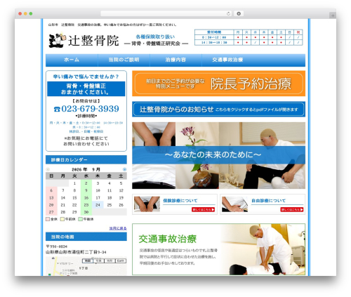 blue WordPress theme - tuzi-seikotuin.com