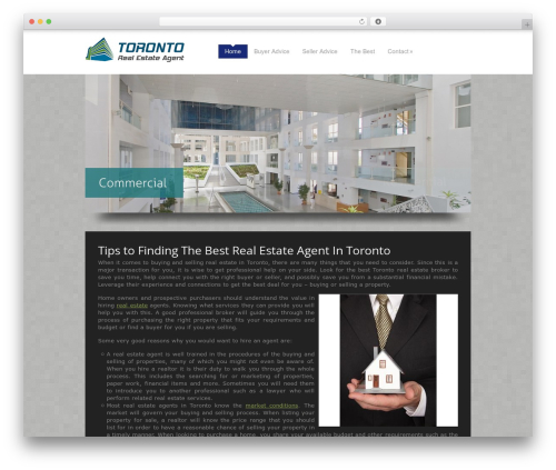 Catalyst real estate WordPress theme - torontorealestateagentgta.ca