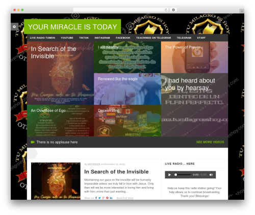 Rexus WordPress theme design - tumilagroeshoy.com