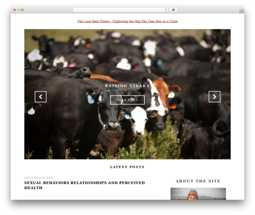 Simple subscribe WordPress plugin - thelastbestplates.com