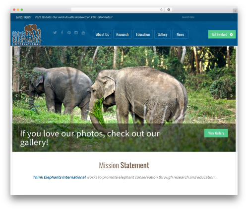 Wp google map pro WordPress plugin - thinkelephants.org