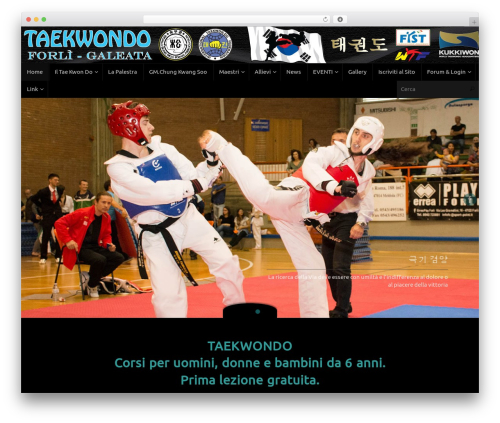 Tempera best WordPress theme - tkwondo.com