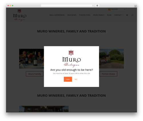 Conditional Discounts for WooCommerce – a woocommerce discount plugin for woocommerce bulk discount, customer role pricing, dynamic pricing, woocommerce quantity discount, BOGO deals, free gifts and more. (woo-advanced-discounts) free WordPress plugin - bodegasmuro.es