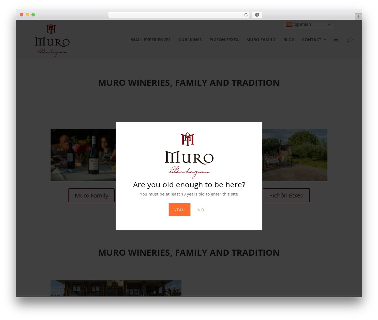 Theme WordPress Divi - bodegasmuro.es Theme WordPress Divi - bodegasmuro.es
