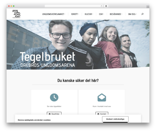 Elfsight facebook feed cc WordPress plugin - tegelbruket.org