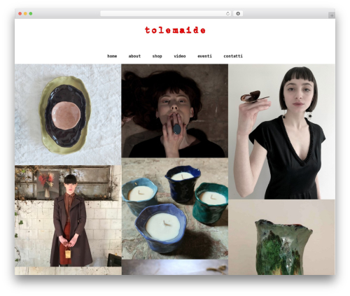 WordPress theme Nebula - tolemaide.com