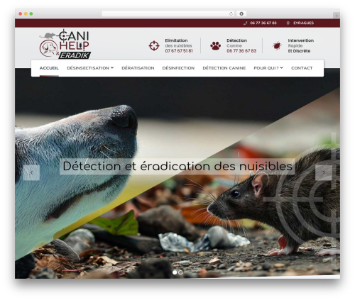 bauer WordPress theme - canihelp.fr
