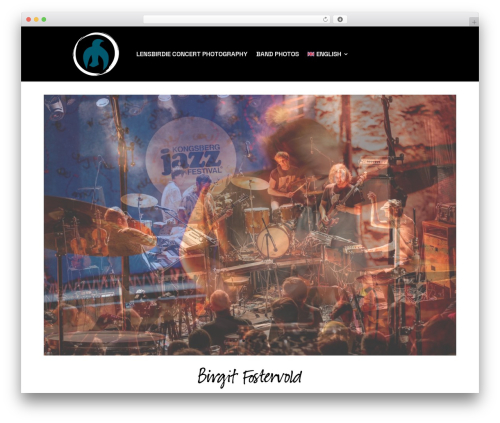 Divi WordPress theme - lensbirdie.com