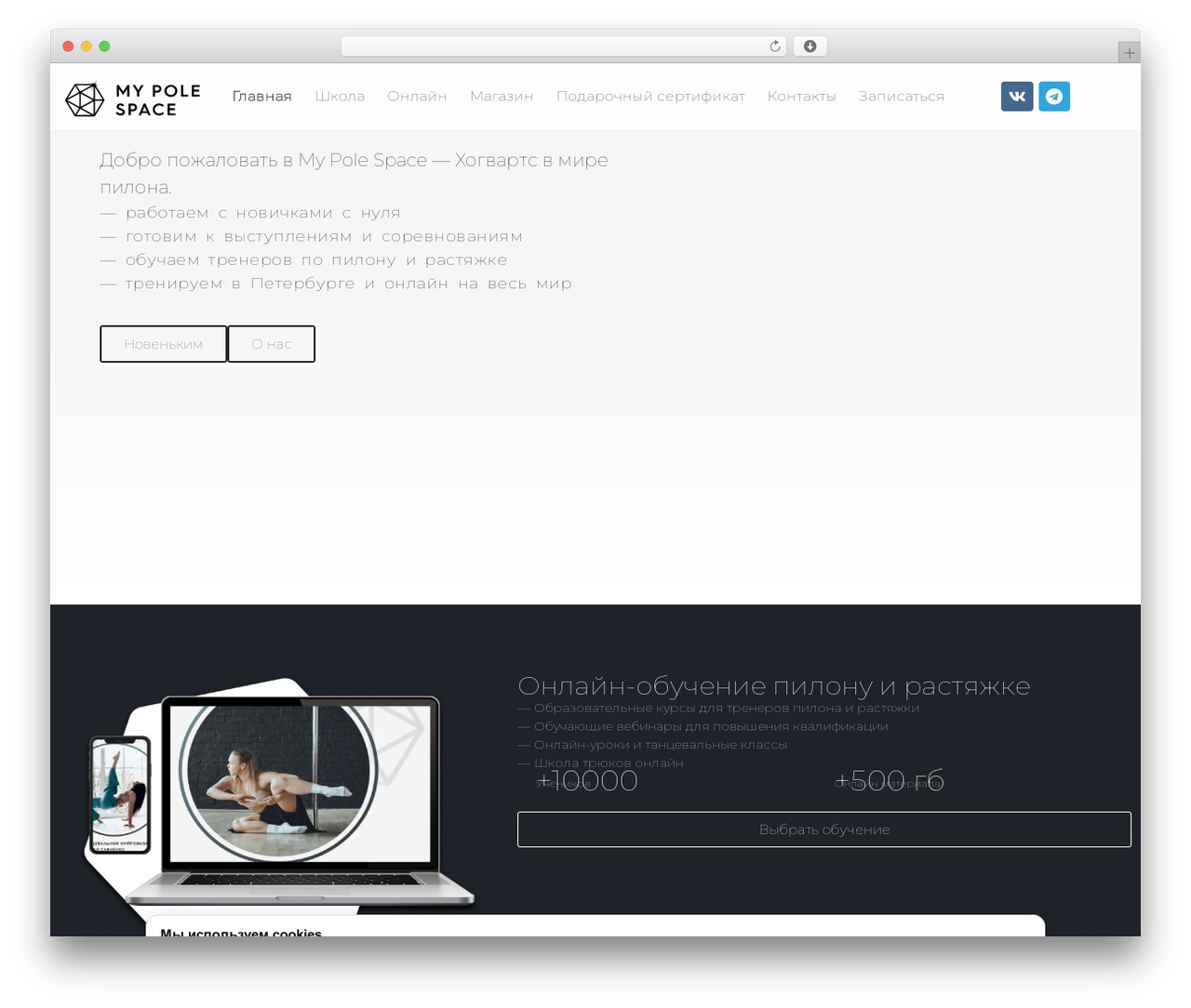 Hello Elementor WordPress theme - mypolespace.ru