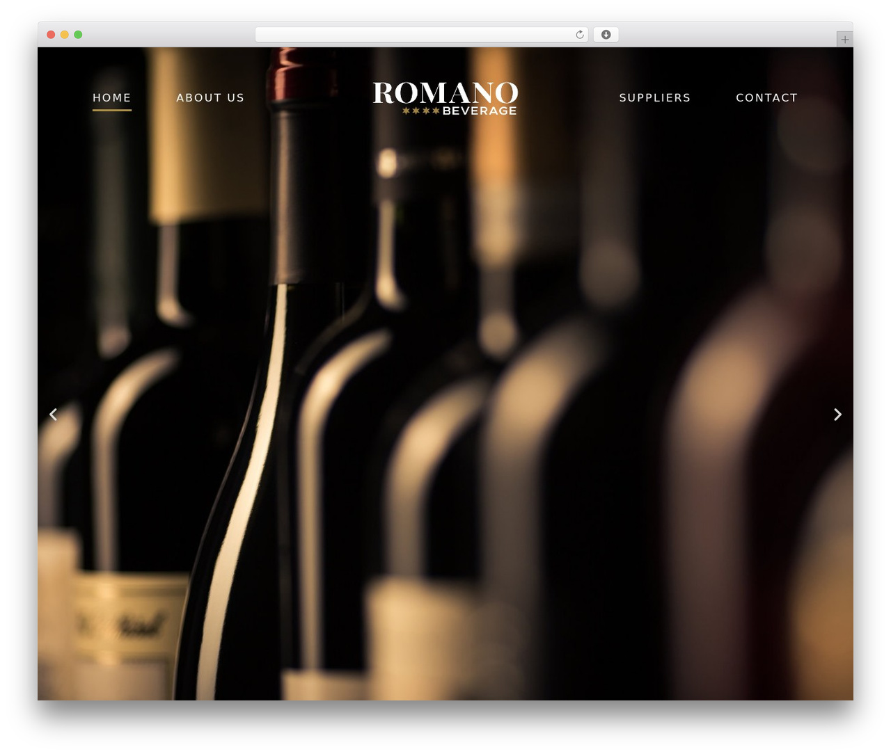 WP theme OptikTheme - romanobeverage.com