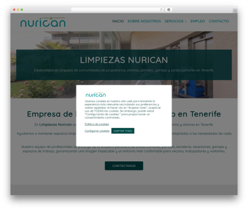 Create WordPress theme - limpiezasnurican.com