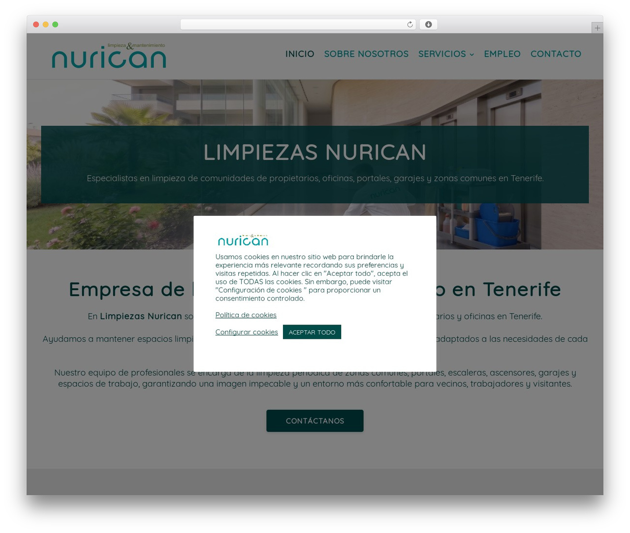 Create WordPress theme - limpiezasnurican.com