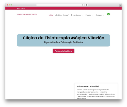 Divi WordPress theme - monicavfisioterapia.com