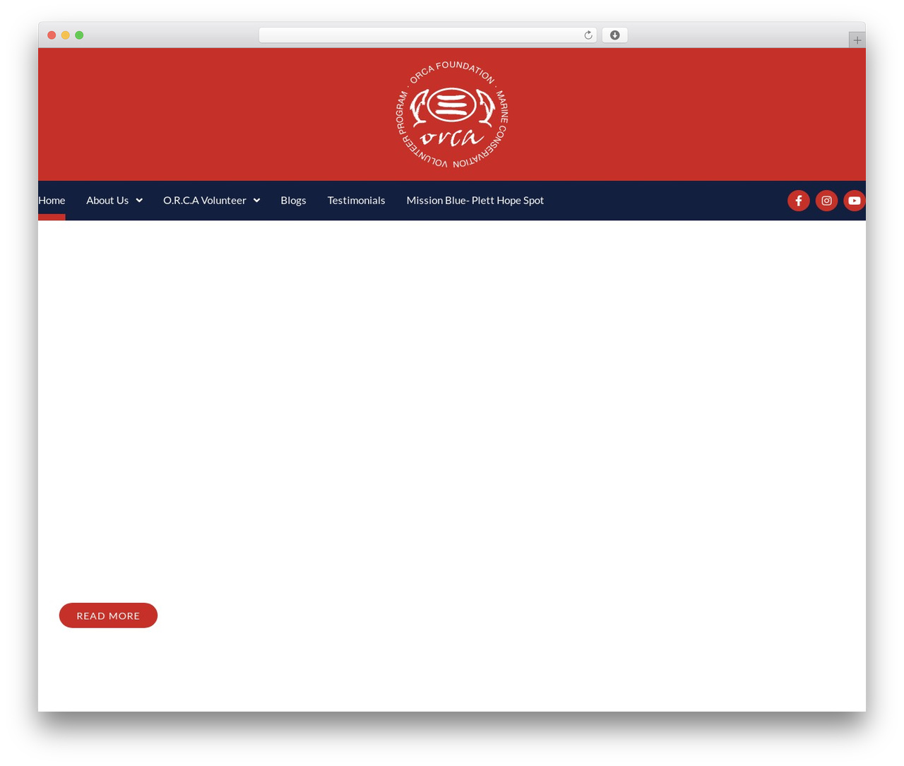 Hello Elementor theme WordPress free - orcafoundation.com