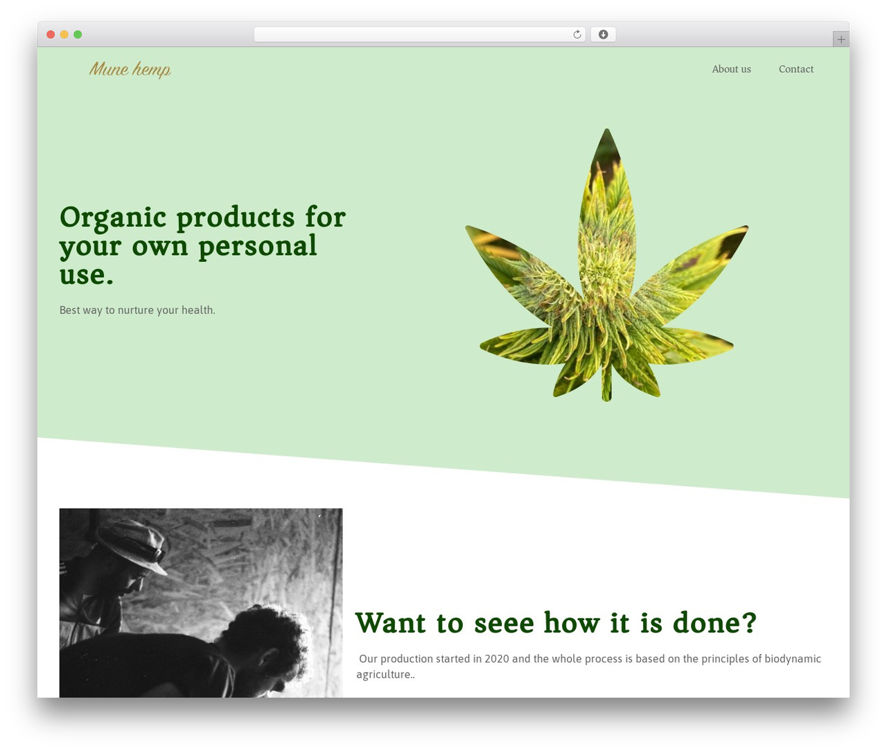 Hello Elementor WordPress theme - munehemp.com Hello Elementor WordPress theme - munehemp.com
