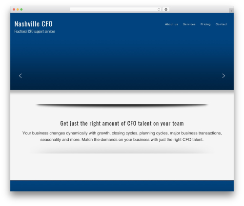 Theme WordPress Optimal - nashvillecfo.com