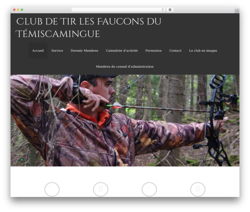 Asteria Lite WordPress theme - fauconstir.com