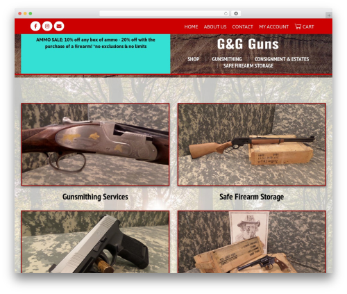 Basic WordPress theme - ggguns.com