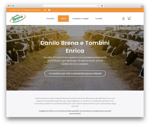 Theme WordPress CoriTheme - tombinibrena.it