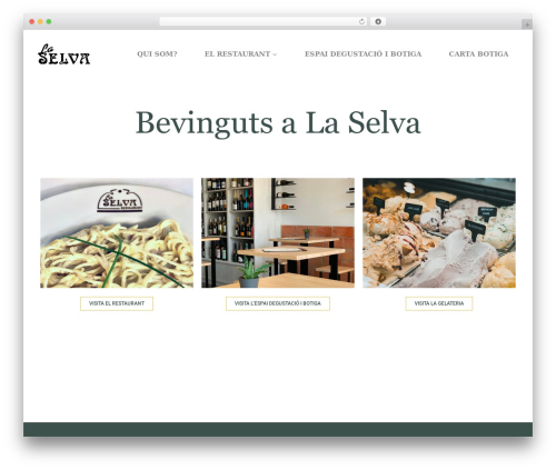 Blockfold WordPress theme - www.restaurantlaselva.cat
