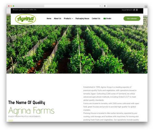 Foodano food WordPress theme - agrinagroup.com