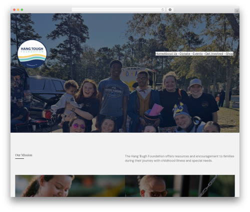 Cozy addons WordPress plugin - hangtoughfoundation.org