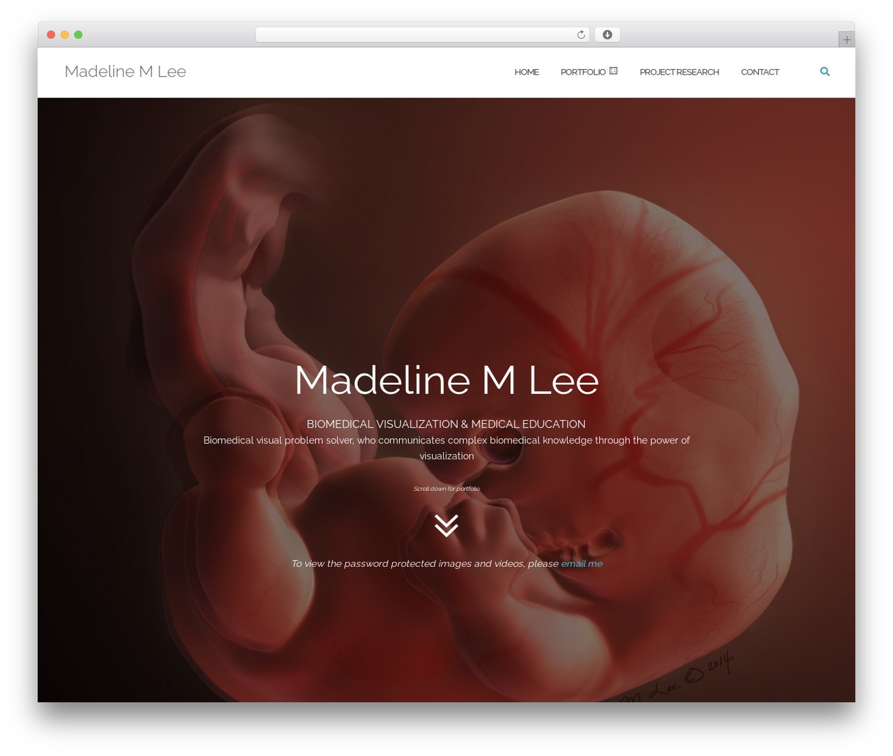 Theme WordPress Shapely - madelinemlee.com