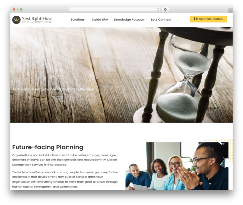 WordPress theme Hello Elementor - nrmcareercoach.com