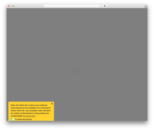 Beautiful and responsive cookie consent addon WordPress plugin - himind.ch