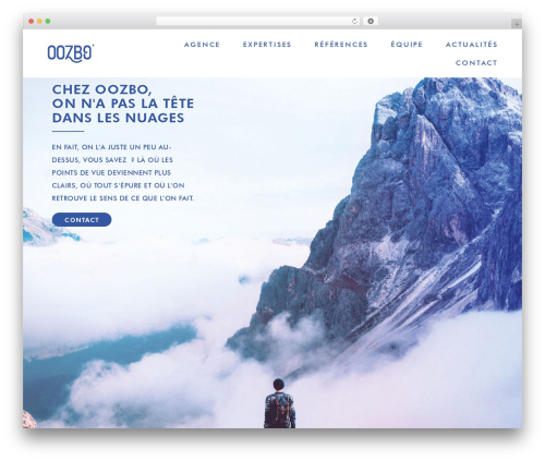 Elementor pro old WordPress plugin - oozbo.com