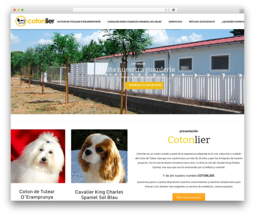 Petta WordPress theme - cotonlier.com Petta WordPress theme - cotonlier.com