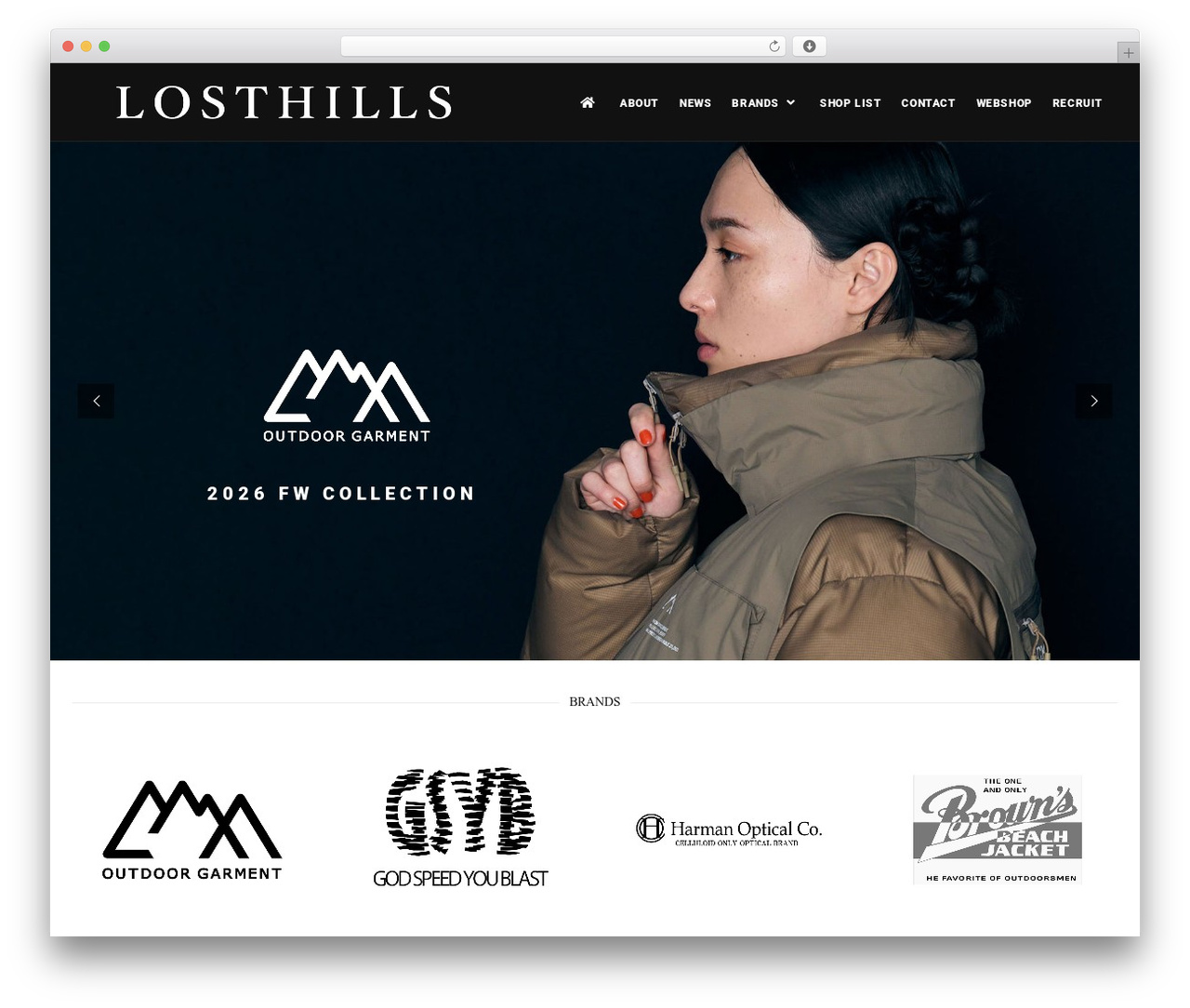 Polo best WordPress theme - losthills.jp