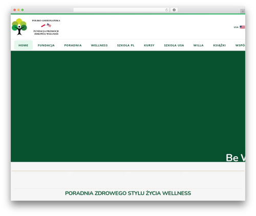 ShopStore WordPress ecommerce theme - fundacjawellness.pl