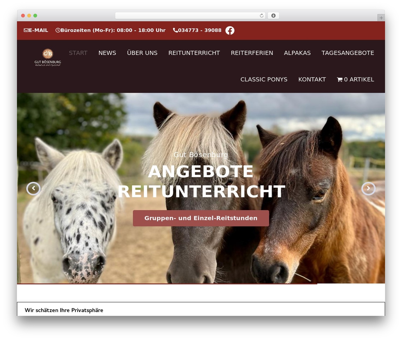 Theme WordPress Hello Elementor - boesenburg.de