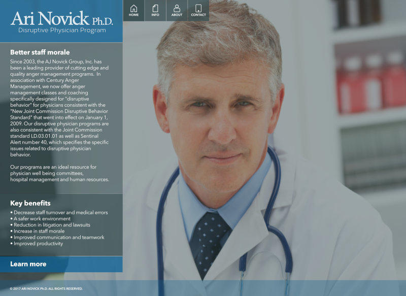 Ari Novick DPP Theme WordPress theme