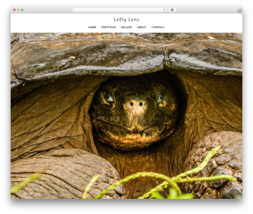 Borano WordPress theme - mattseerogers.com