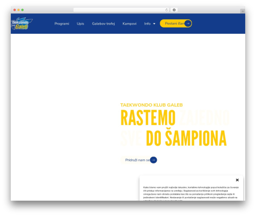 Hello Elementor WP theme - tkdgaleb.org.rs