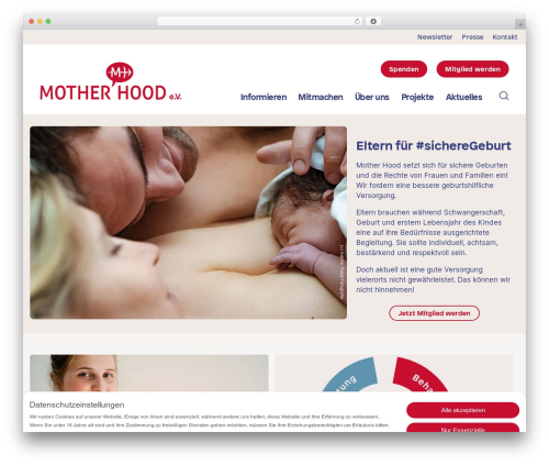 Newsletter2Go free WordPress plugin - mother-hood.de
