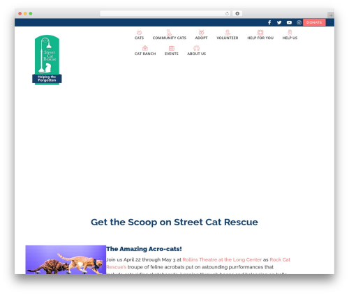 Wpforms captcha WordPress plugin - streetcatrescue.org